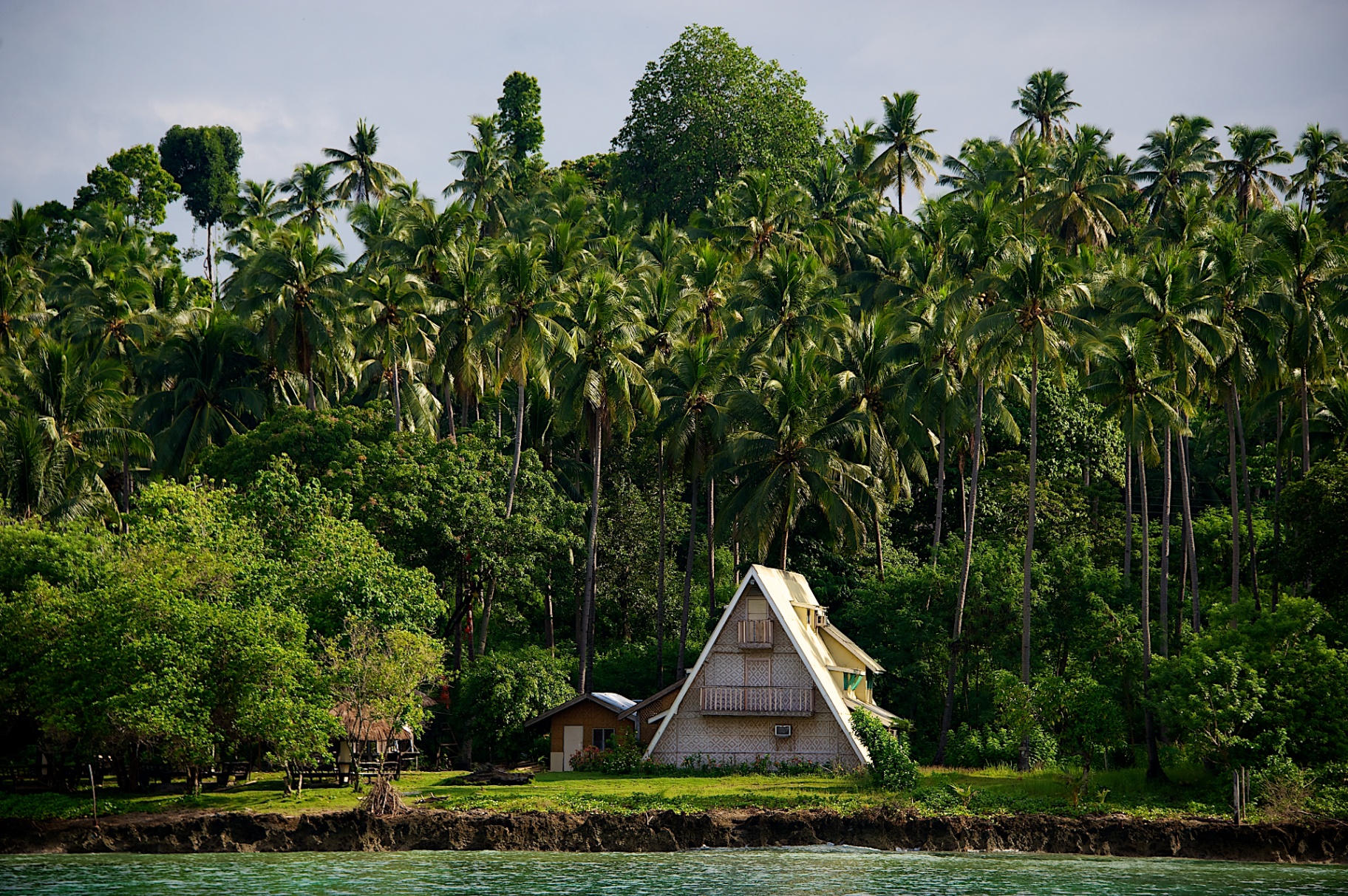 A-frame village home tucked beneath towering coconut palms along a river