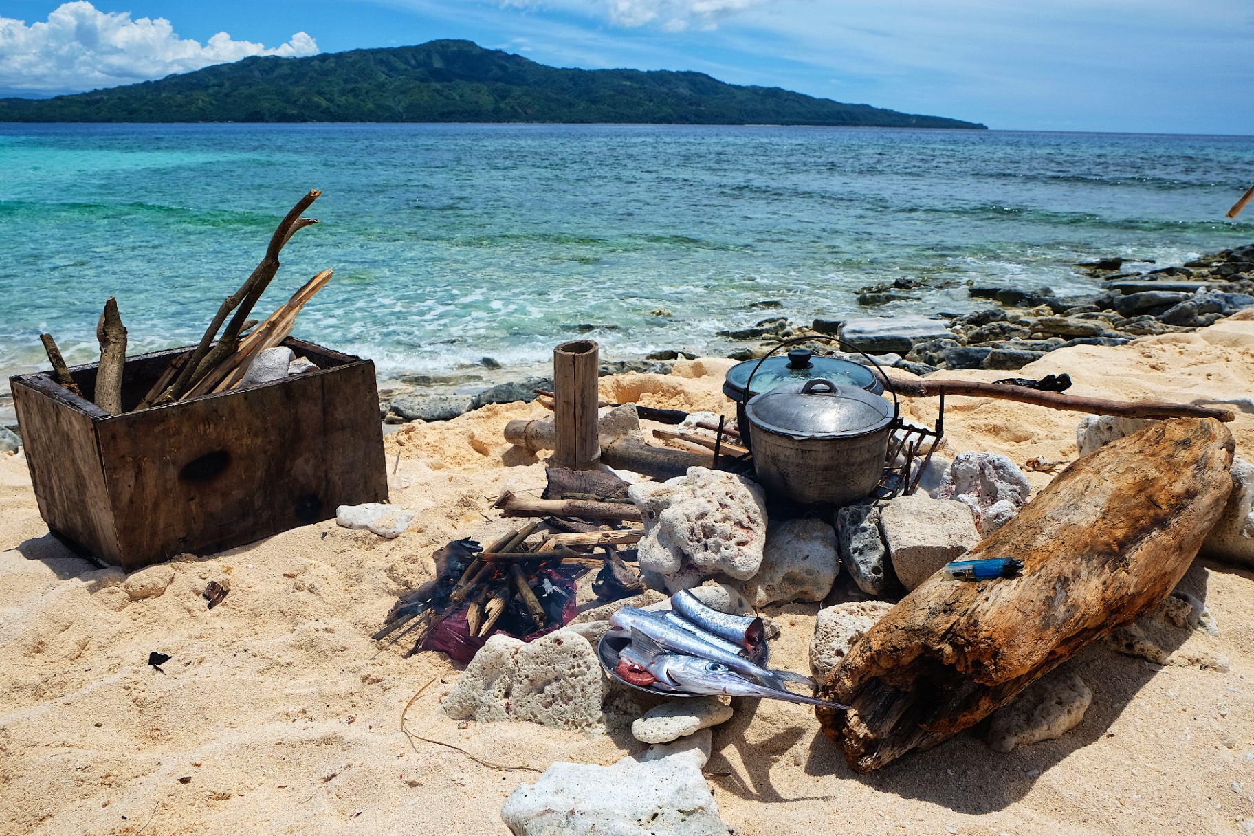 Driftwood fire with fresh fish and a blackened cookpot on a white coral beach above turquoise Philippine sea