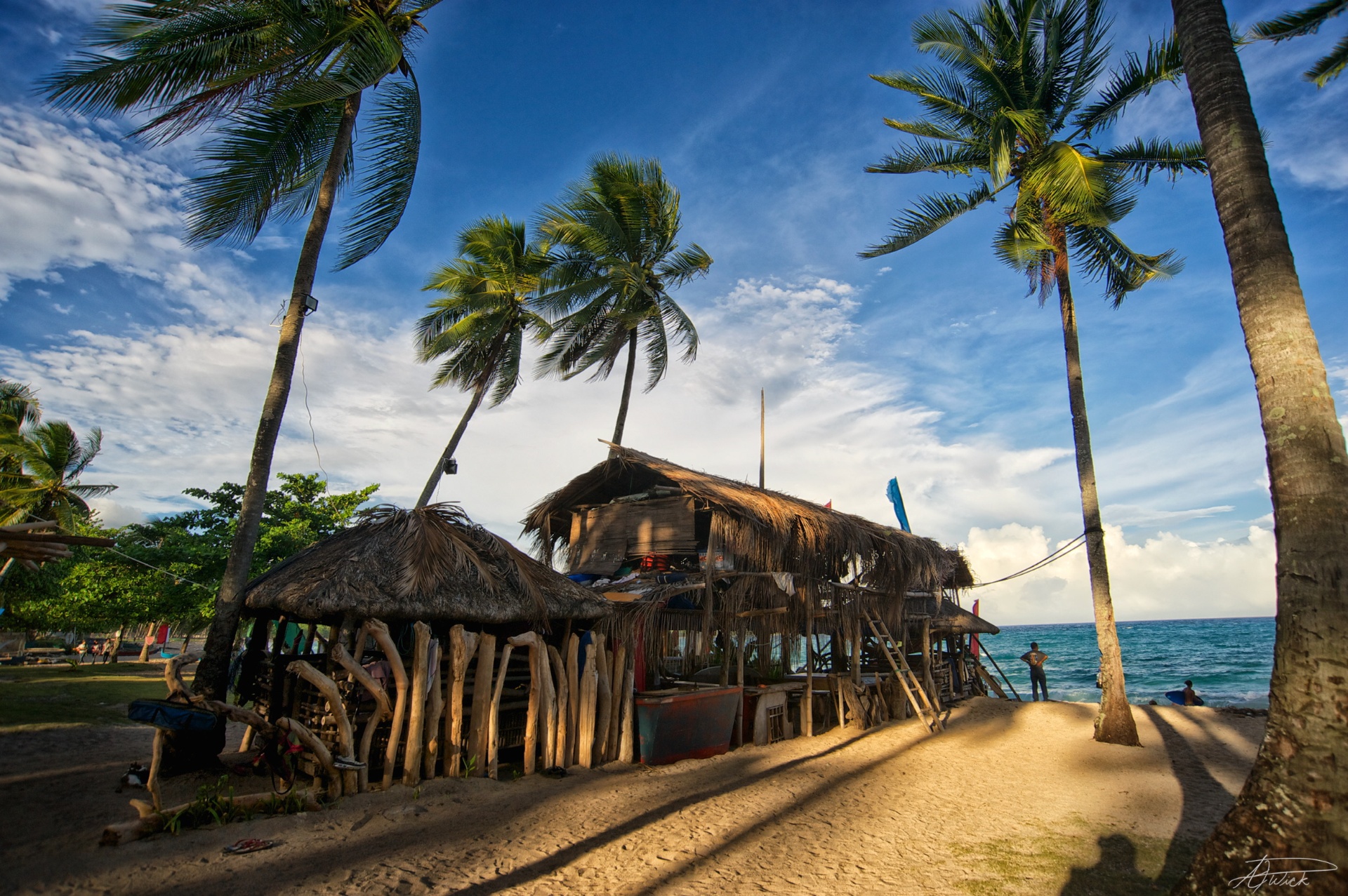 Bamboo beach hut framed by tall coconut palms, Philippines