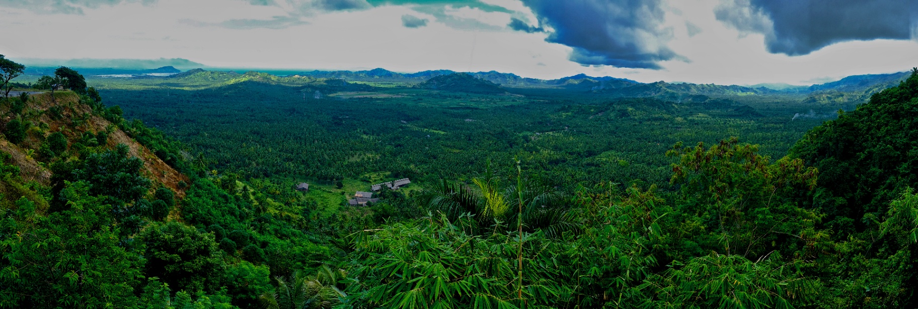 Sweeping panoramic view across an endless valley of coconut palms toward distant blue mountains and the sea
