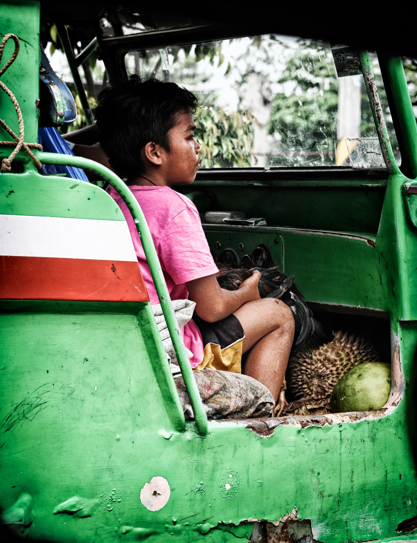 Filipino boy in a pink shirt riding inside a green jeepney holding a rooster, with durian and pomelo at his feet