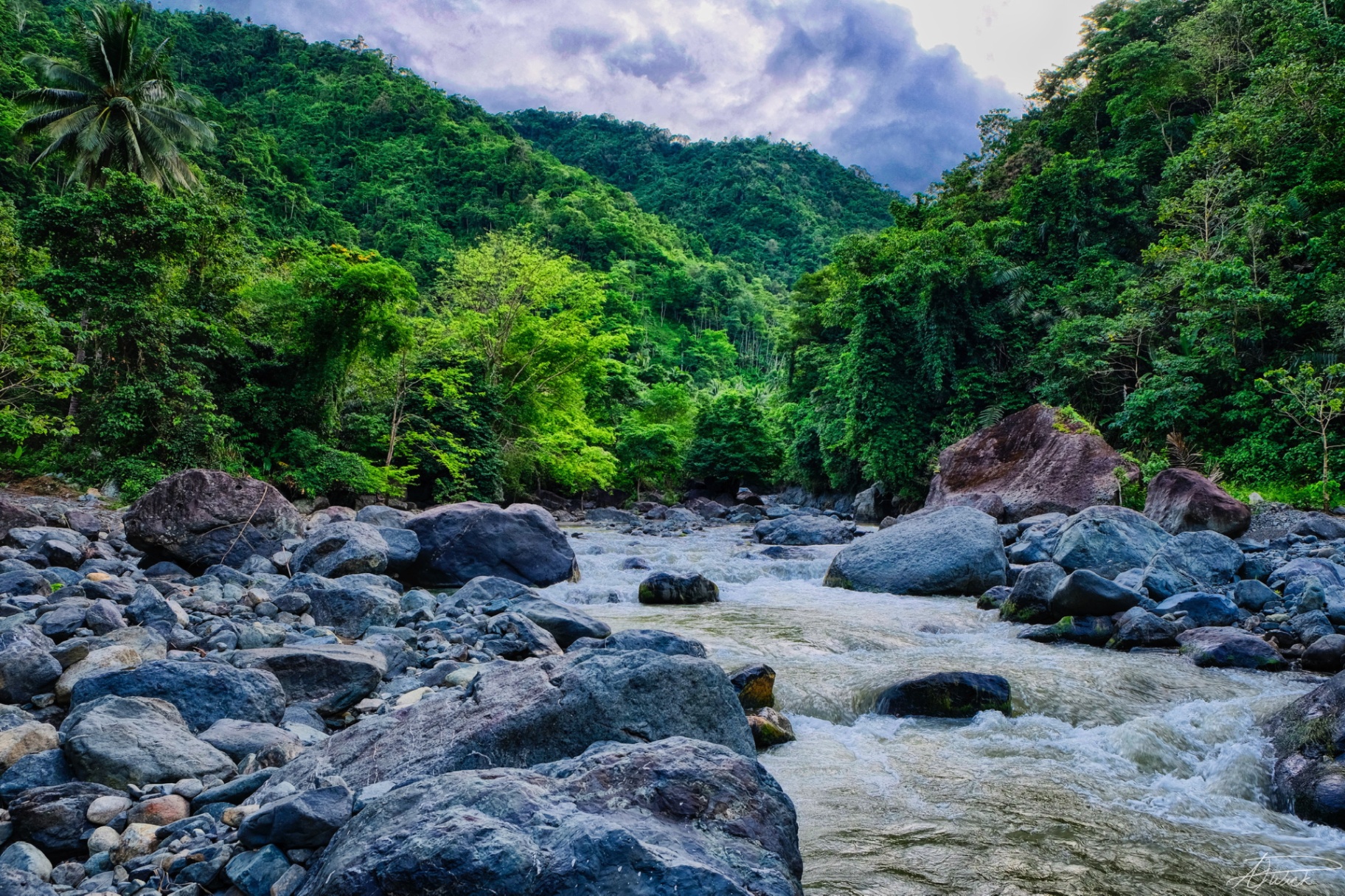 Rushing river tumbling over grey boulders through a lush Philippine jungle valley
