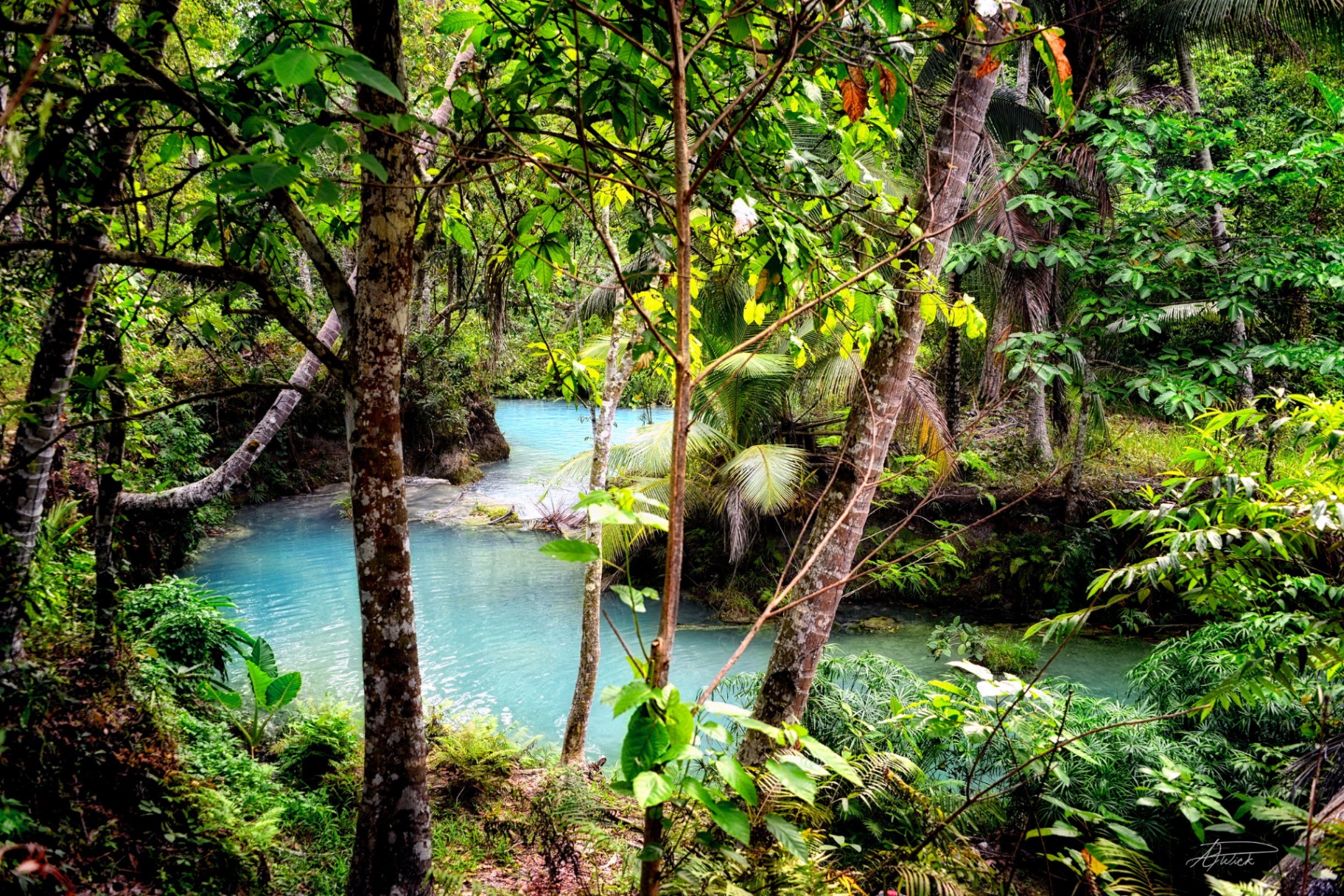 Turquoise river winding through Philippine jungle