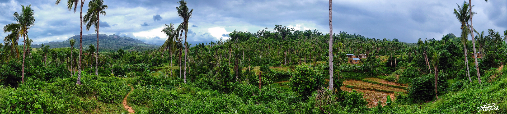 Panoramic valley with a reddish footpath, scattered homes, terraced ground and palms stretching to distant peaks