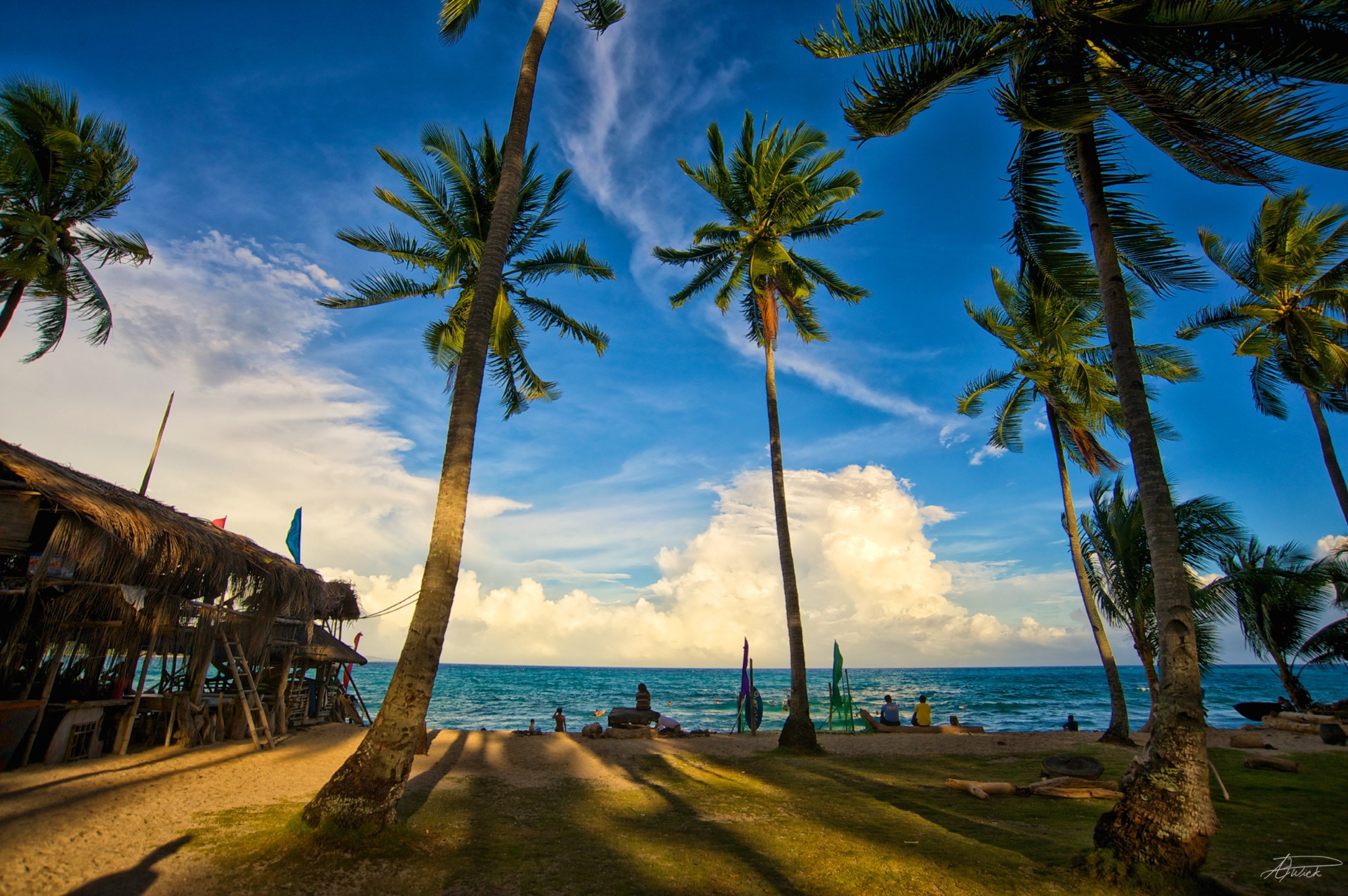 Coconut palms over a Philippine shoreline at golden hour