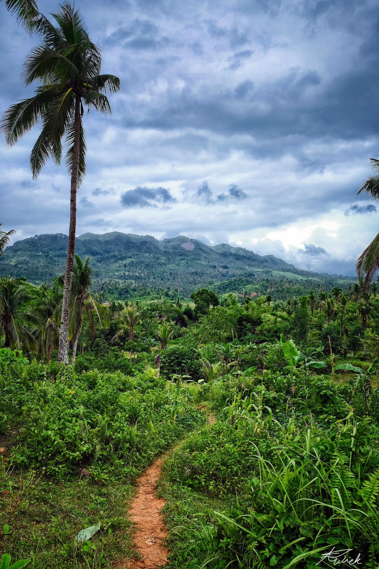 Red earthen path leading through dense tropical growth toward a long green mountain ridge beneath layered clouds