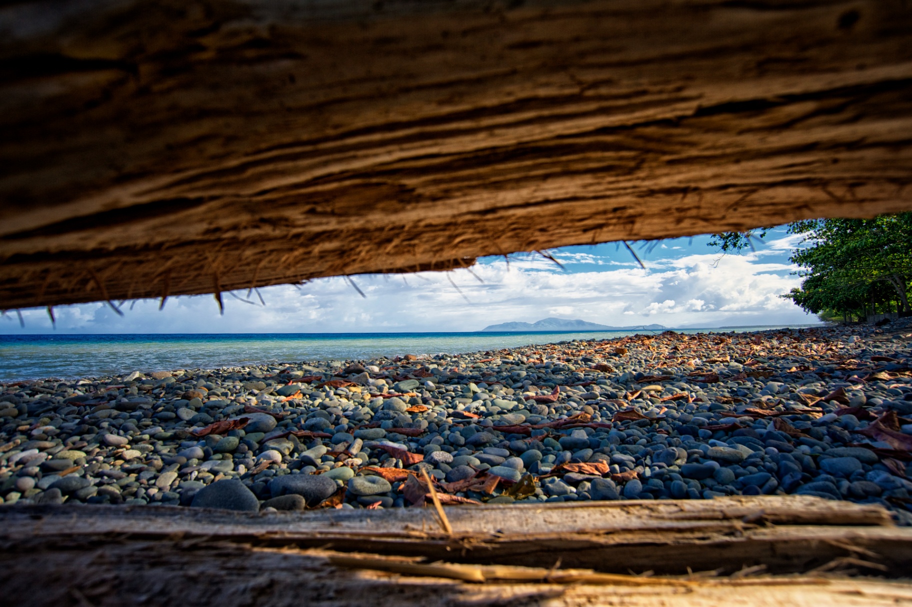 View of the Philippine sea framed by driftwood and pebbles