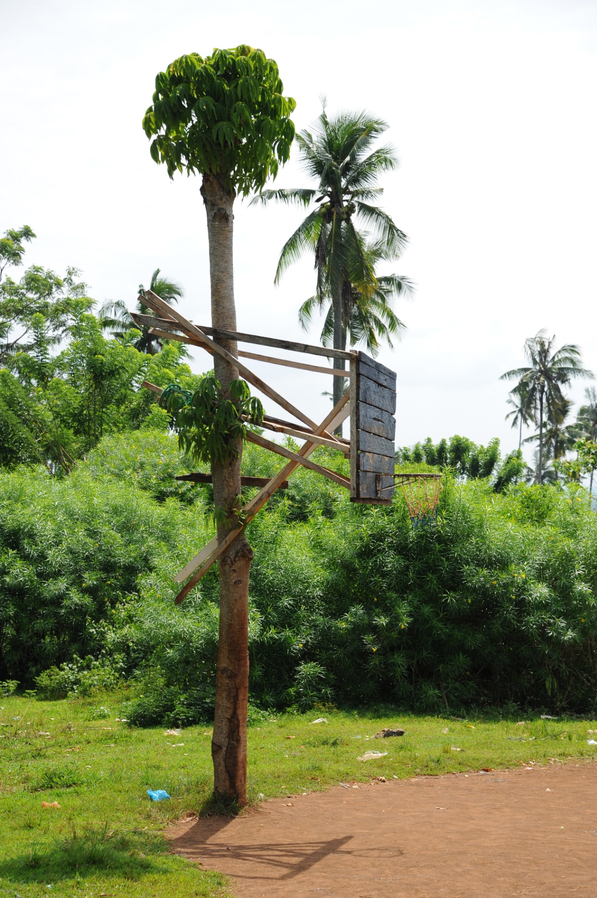 Handmade wooden basketball hoop nailed to a tree in a Philippine village